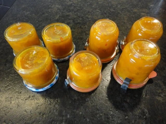 Marillen / Aprikosen Chutney - Rezept - Bild Nr. 18