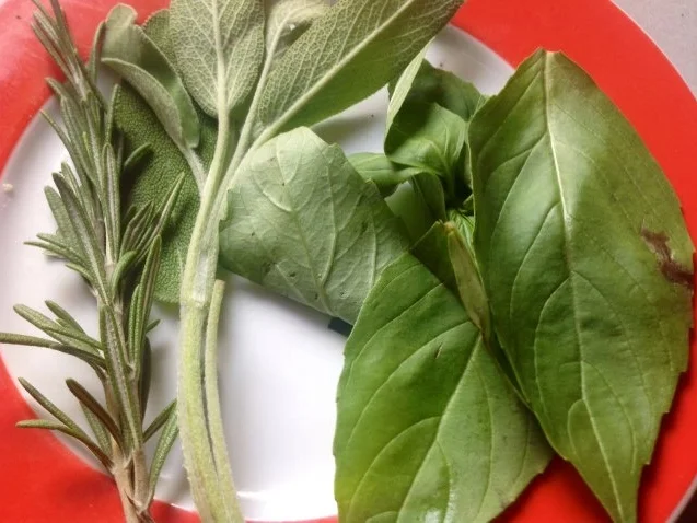 Rezept: Mediterraner Kräuterquark Bild Nr. 6 Mediterraner Kräuterquark - Rezept - Bild Nr. 6