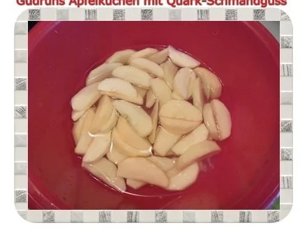 Kuchen: Apfelkuchen - Rezept - Bild Nr. 4