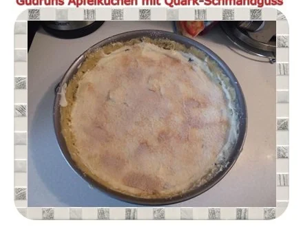 Kuchen: Apfelkuchen - Rezept - Bild Nr. 8