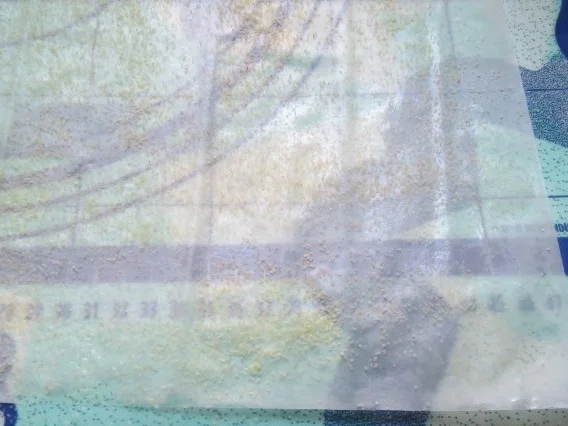 Backen: Fächer-Baklava - Rezept - Bild Nr. 2