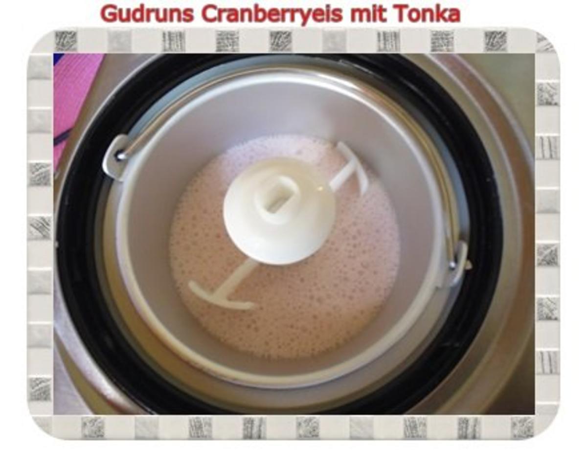 Eis: Cranberryeis mit Tonka - Rezept - Bild Nr. 5
