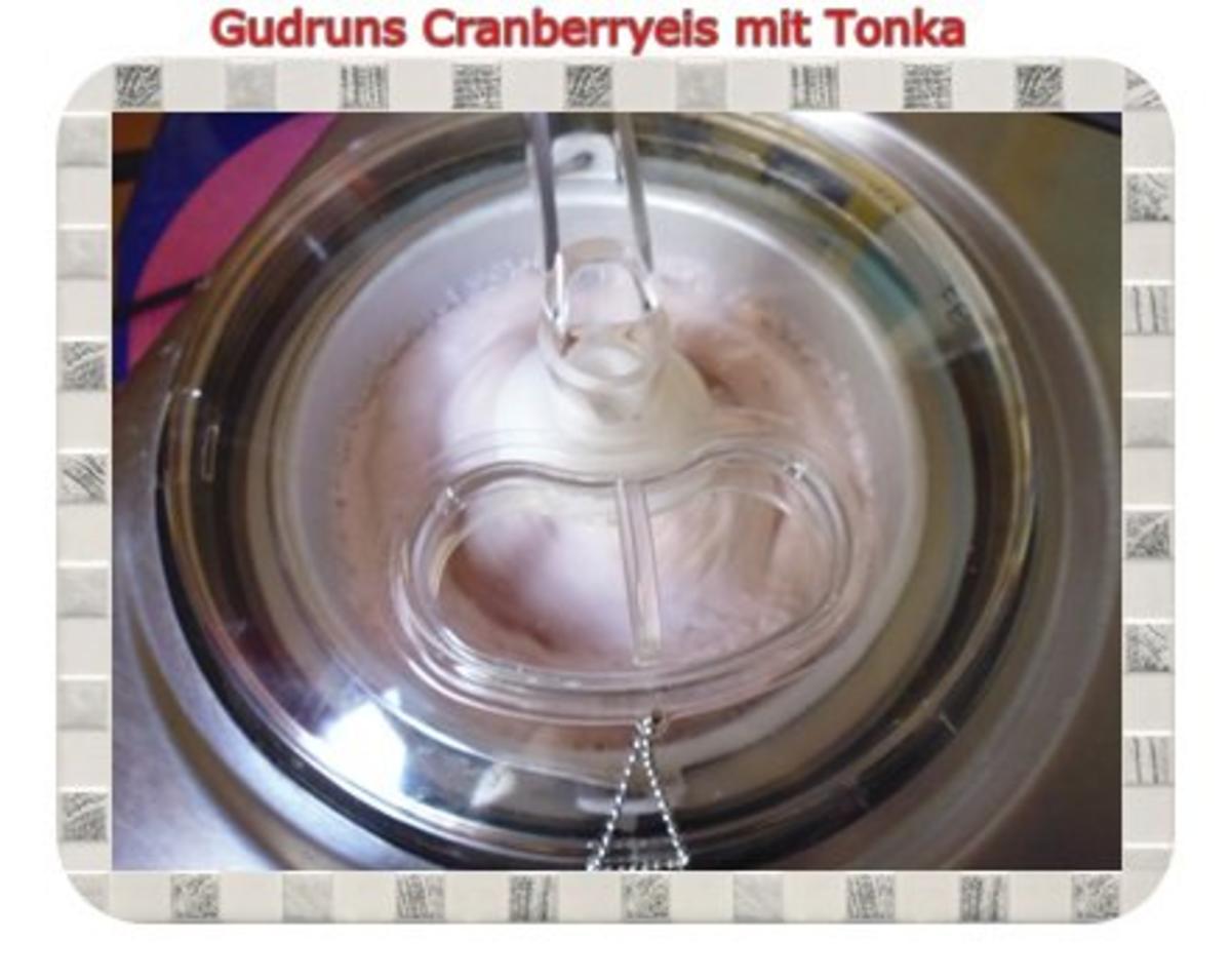 Eis: Cranberryeis mit Tonka - Rezept - Bild Nr. 6