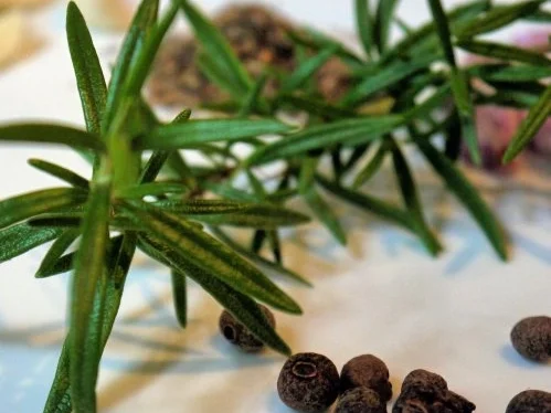 Tomatensauce aus frischen Tomaten - Rezept - Bild Nr. 3