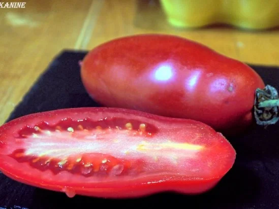 Tomatensauce aus frischen Tomaten - Rezept - Bild Nr. 8