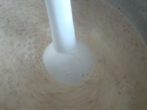 Rezept: Joghurt - Mandel-Cremesüppchen Bild Nr. 8 Joghurt - Mandel-Cremesüppchen - Rezept - Bild Nr. 8