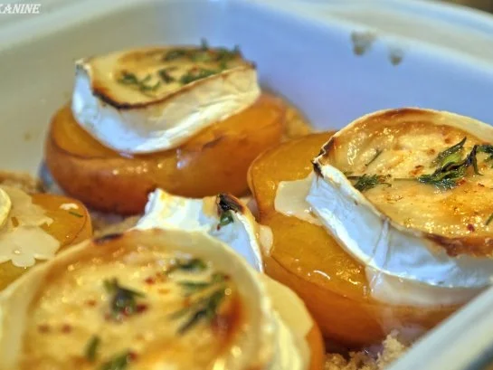 Mit Ziegenkäse gratinierte Aprikosen und Bruschetta - Rezept - Bild Nr. 16