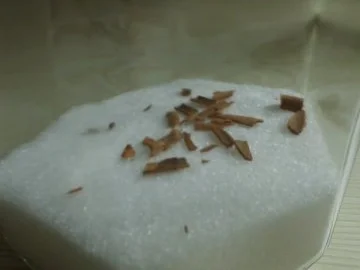 Liköre: Mirabellenikör mit Zimt - Rezept - Bild Nr. 2