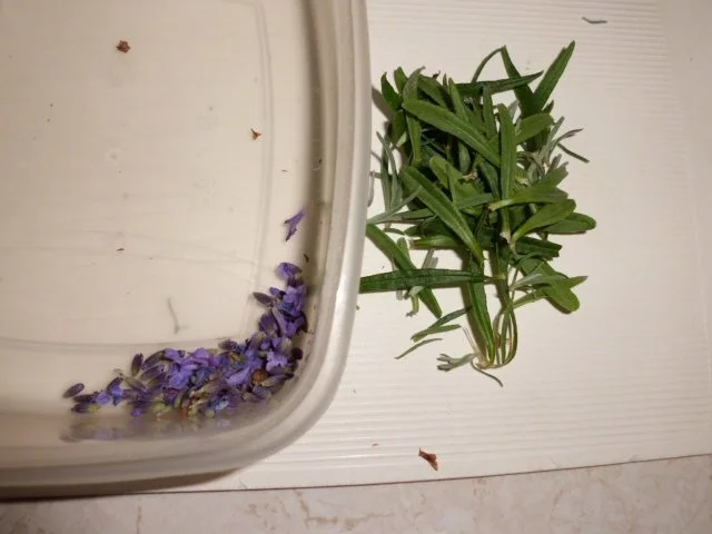 Gewürzmittel; Aromasalz: Lavendel-Gewürzsalz - Rezept - Bild Nr. 3