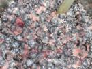 Blaubeer - Marmelade - Rezept