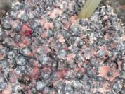 Blaubeer - Marmelade - Rezept