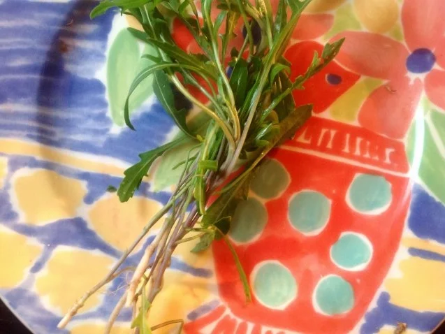 Weintrauben-Käsesalat - Rezept - Bild Nr. 8