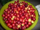 Rote Mirabellen Konfitüre ! - Rezept