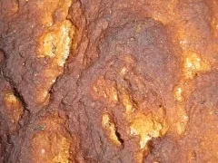 Brombeerbrot - Rezept - Bild Nr. 3