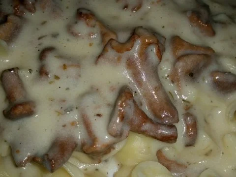 Rezept: Nudeln u. Pasta: Bandnudeln tummeln sich in einer Pfifferling - Rosmarin - Sahne - Soße Nudeln u. Pasta: Bandnudeln tummeln sich in einer Pfifferling - Rosmarin - Sahne - Soße - Rezept