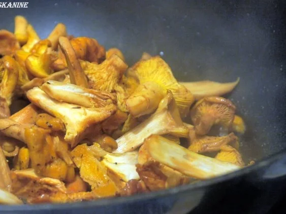 Rezept: Bandnudelsalat mit Pfifferlingen und Mohn Bild Nr. 11 Bandnudelsalat mit Pfifferlingen und Mohn - Rezept - Bild Nr. 11