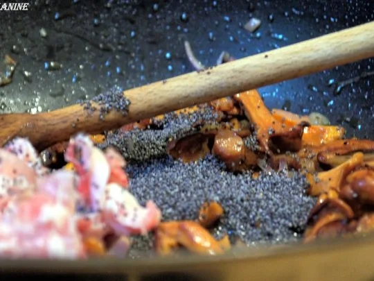 Rezept: Bandnudelsalat mit Pfifferlingen und Mohn Bild Nr. 14 Bandnudelsalat mit Pfifferlingen und Mohn - Rezept - Bild Nr. 14