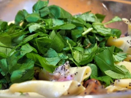 Rezept: Bandnudelsalat mit Pfifferlingen und Mohn Bild Nr. 18 Bandnudelsalat mit Pfifferlingen und Mohn - Rezept - Bild Nr. 18