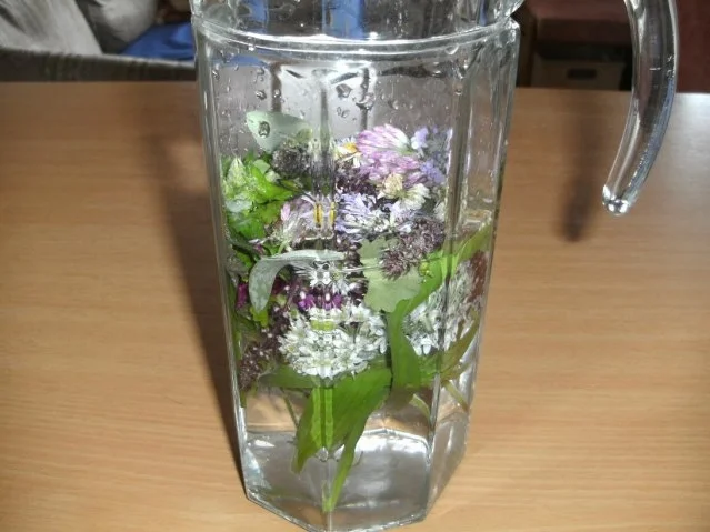 Gesundheit: Wellness - Drink - Rezept