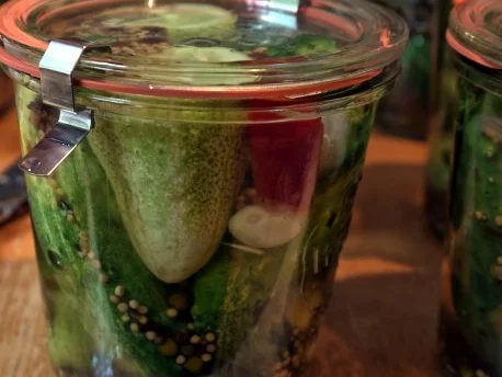 Ingwer-Pfeffer-Gurken - Rezept - Bild Nr. 2