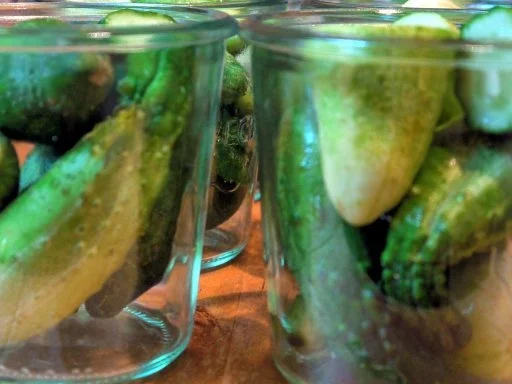 Ingwer-Pfeffer-Gurken - Rezept - Bild Nr. 3