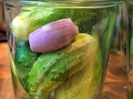 Ingwer-Pfeffer-Gurken - Rezept - Bild Nr. 4