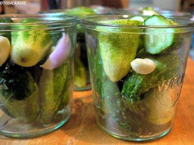 Ingwer-Pfeffer-Gurken - Rezept - Bild Nr. 5