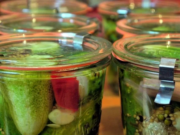 Ingwer-Pfeffer-Gurken - Rezept - Bild Nr. 13