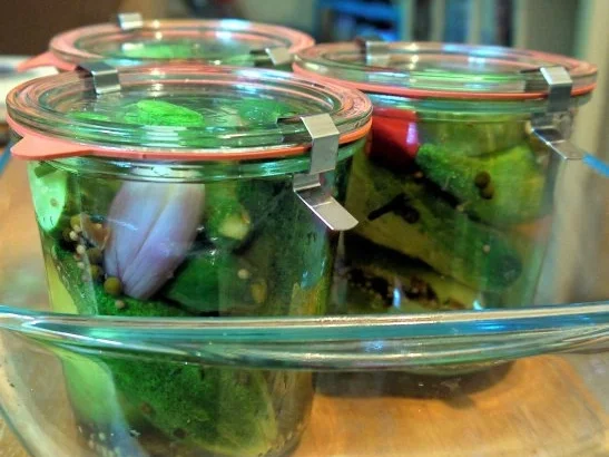 Ingwer-Pfeffer-Gurken - Rezept - Bild Nr. 14