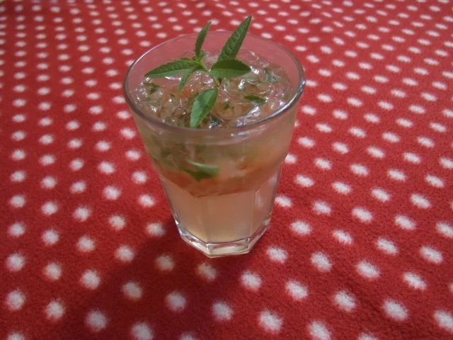 Rezept: Grapefruit-Verbenen-Holunderinia Grapefruit-Verbenen-Holunderinia - Rezept