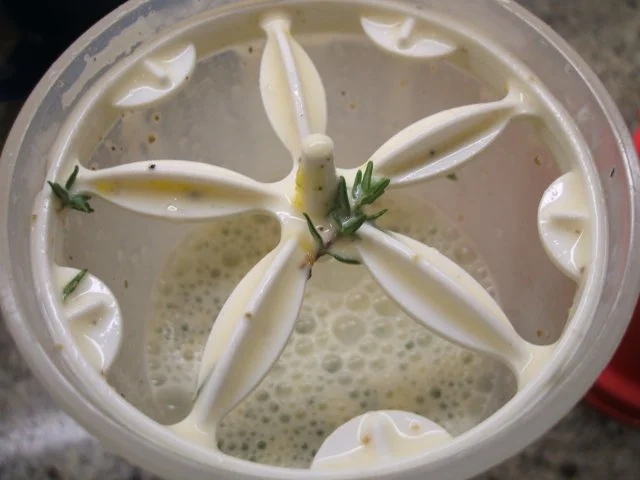 Rezept: Auflauf: "Begrabener Seelachs" Bild Nr. 8 Auflauf: "Begrabener Seelachs" - Rezept - Bild Nr. 8