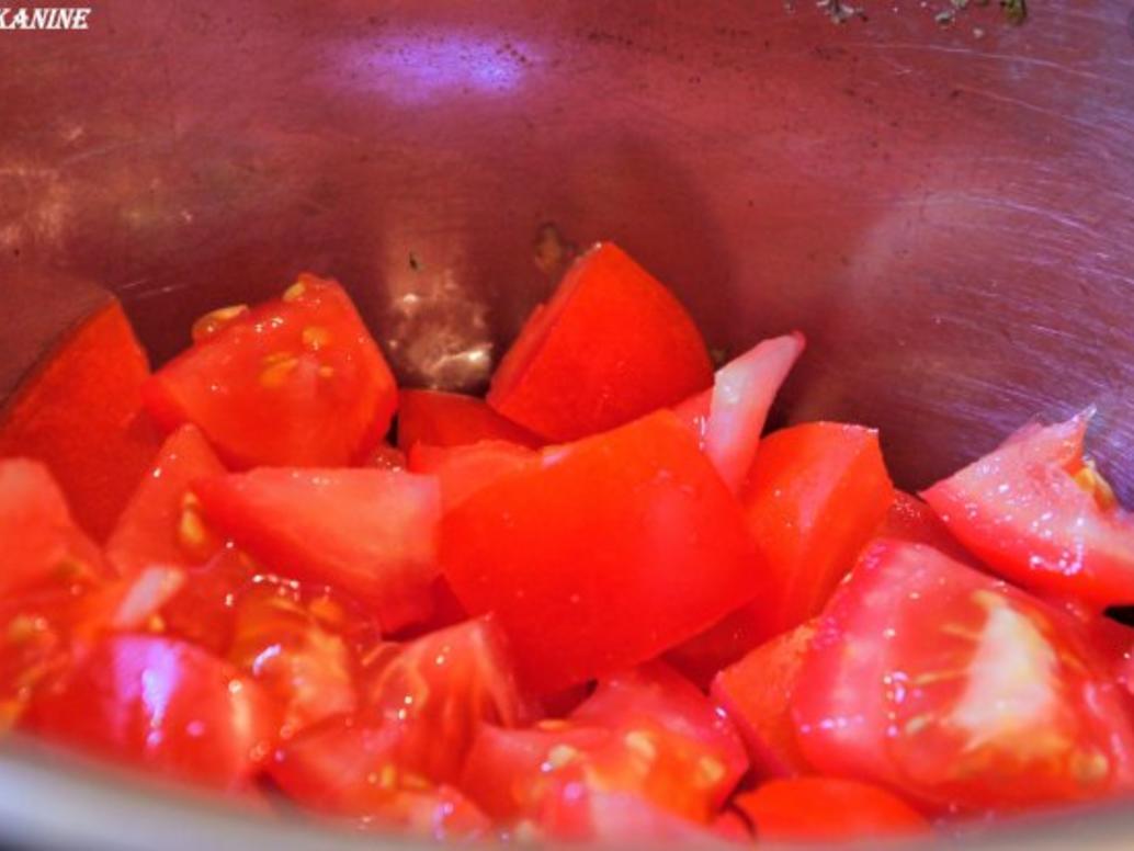 Parmesan Flan auf Tomatenbett - einfach - 108 kcal/100g Parmesan Flan auf Tomatenbett - einfach - 108 kcal/100g