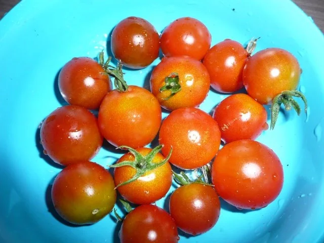 Bauernpfanne vegan. - Rezept - Bild Nr. 5