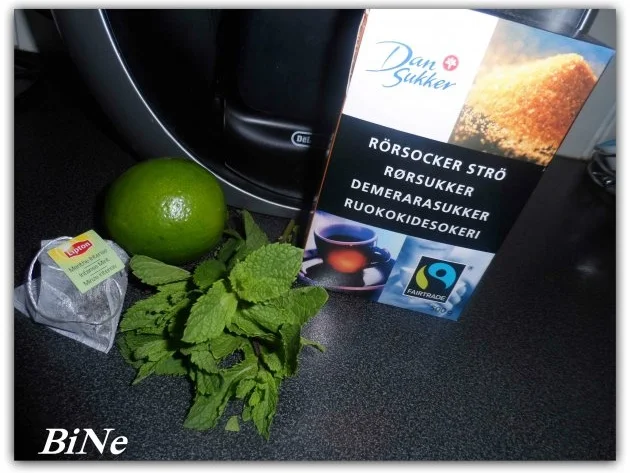 BiNe` S MINZE - LIMETTEN - EISTEE - Rezept - Bild Nr. 3