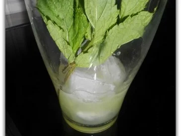 BiNe` S MINZE - LIMETTEN - EISTEE - Rezept - Bild Nr. 4