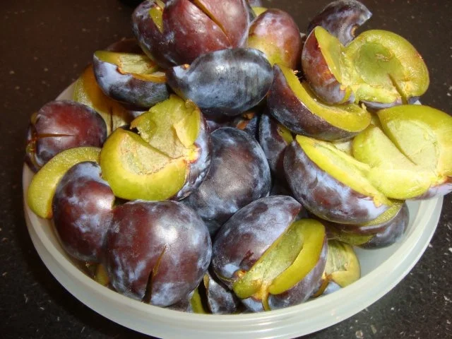 Rezept: Pflaumen - Pfannkuchen Bild Nr. 6 Pflaumen - Pfannkuchen - Rezept - Bild Nr. 6