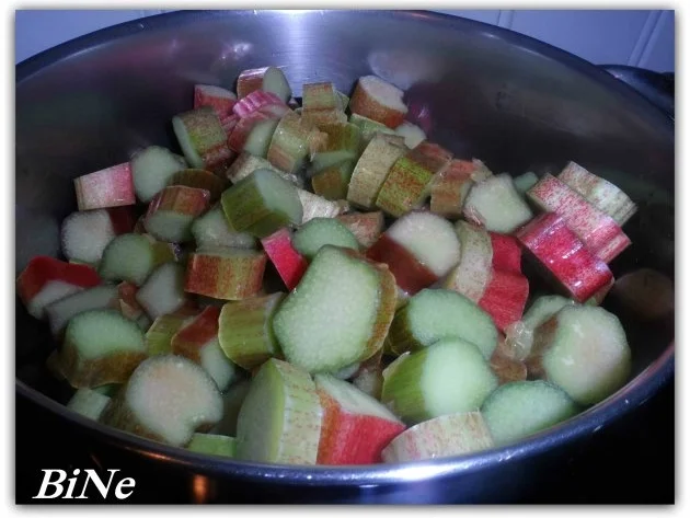 BiNe` S RHABARBER - HONIG - MARMELADE - Rezept - Bild Nr. 5