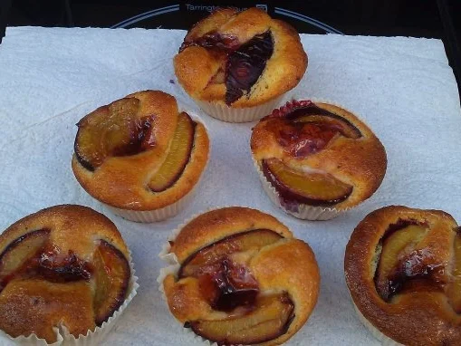 Pflaumen Törtchen ( Muffin ) - Rezept
