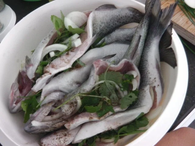 Maximilians mediterrane Dorade vom Räuchergrill - Rezept - Bild Nr. 4