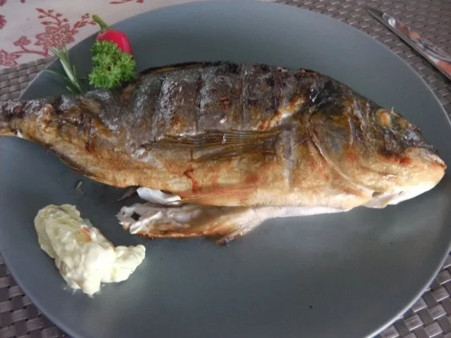 Maximilians mediterrane Dorade vom Räuchergrill - Rezept