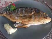 Maximilians mediterrane Dorade vom Räuchergrill - Rezept