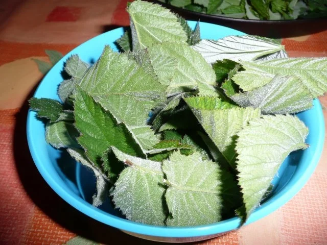 Rezept: Brombeerlikör in Edelversion ! Bild Nr. 3 Brombeerlikör in Edelversion ! - Rezept - Bild Nr. 3