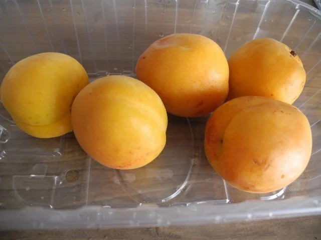 Smoothie : Bananen - Aprikosen - Smoothie - Rezept - Bild Nr. 3