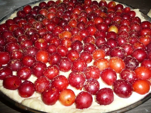 Mirabellenkuchen für's Wochenende ! - Rezept - Bild Nr. 3