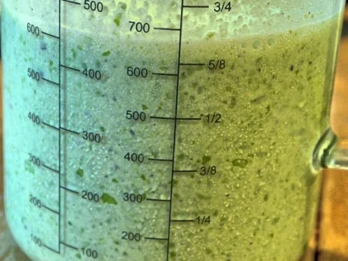 Rezept: "Die Ziege auf der Erbse" Bild Nr. 7 "Die Ziege auf der Erbse" - Rezept - Bild Nr. 7