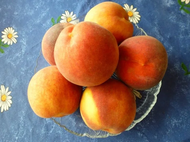 Pfirsicheis am Stiel - Rezept - Bild Nr. 5