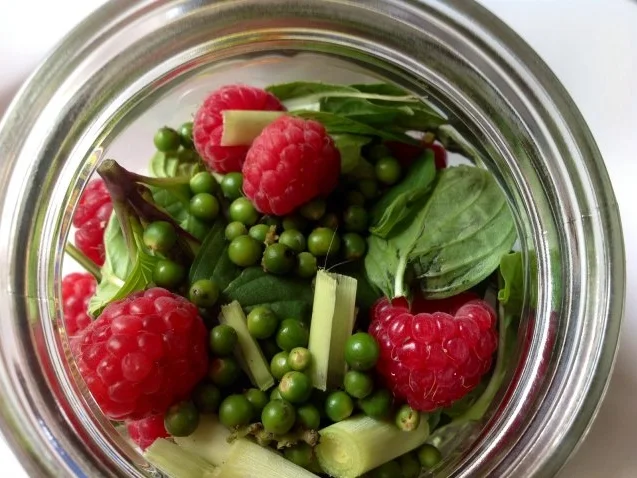 Fruchtiges  Thaibasilikum-Zitronengrasöl - Rezept - Bild Nr. 6