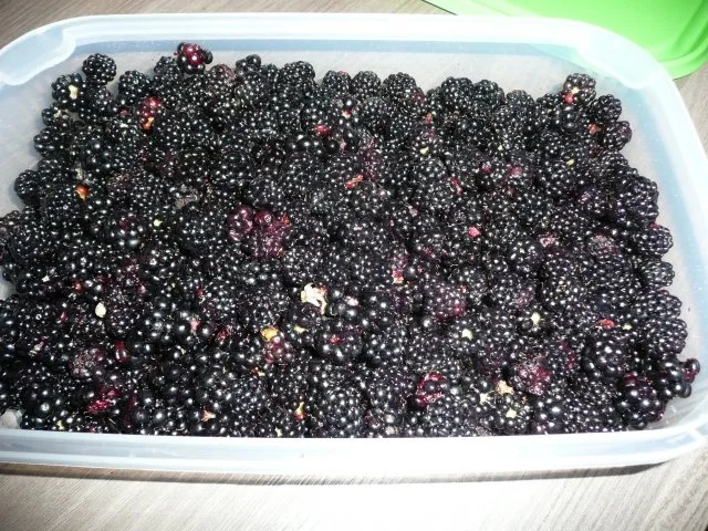 Rezept: Rote Teufelchen : Brombeer - Liebe ! Bild Nr. 2 Rote Teufelchen : Brombeer - Liebe ! - Rezept - Bild Nr. 2