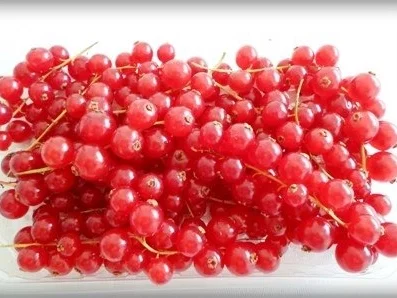 Rezept: Johannisbeeren-Bananen Smoothie Bild Nr. 2 Johannisbeeren-Bananen Smoothie - Rezept - Bild Nr. 2