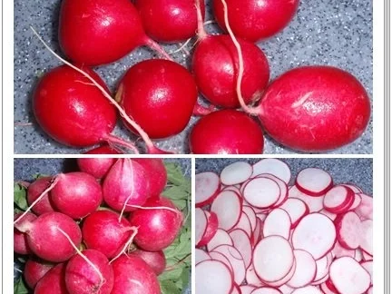 Sommer-Nudel Salat „Gute Laune“ - Rezept - Bild Nr. 6